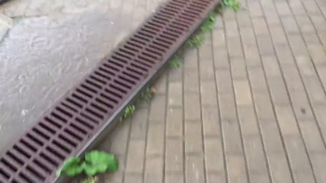 [Э.Т.О.] - Мишаня плывёт домой | НеФормат смотреть онлайн