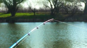 ПОШЛА ХОДОВАЯ ВОБЛА (запрещенная) Весенняя рыбалка в Астрахани