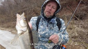 Весенний спиннинг. Ловля на джиг с берега до наступления нерестового запрета.