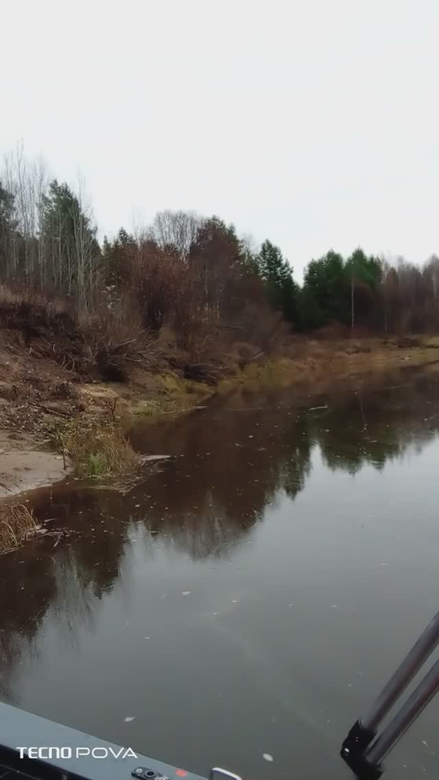 Ветлуга, Камешник