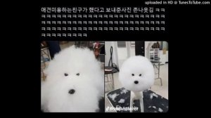 dj trippie flameboy - x_x (earrape)