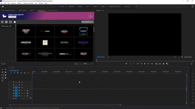 How To Use MotionDuck Templates смотреть онлайн