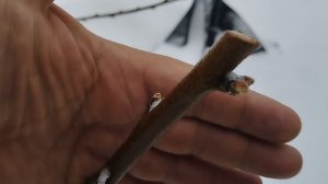 7 апреля зима вернулась