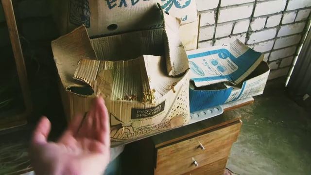 10 причин побывать в Рыбинске смотреть онлайн