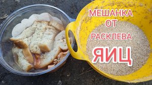 Мешанка для кур-несушек от расклева яиц