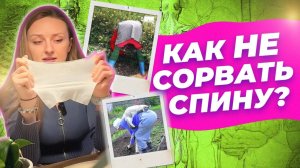 КАК НЕ СОРВАТЬ СПИНУ ПРИ РАБОТЕ НА ДАЧЕ