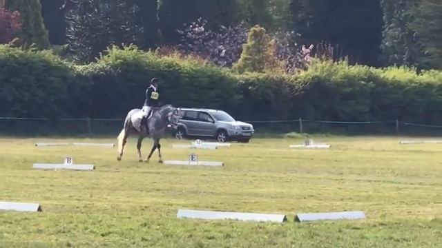 Sirius dressage смотреть онлайн