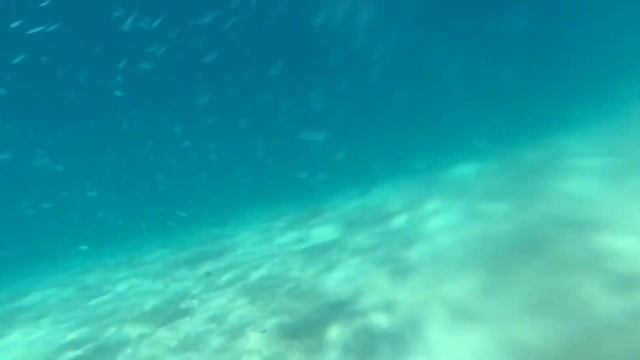 ISLA RITA - Snorkelling | Palawan - Travel Philippines-S1E8| It’s More Fun In The Philippines смотреть онлайн