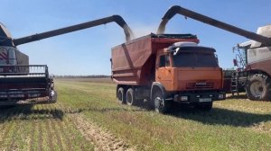 Вспомним, как оно бывает — КАМАЗ на уборке урожая