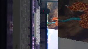 страдаем фигней