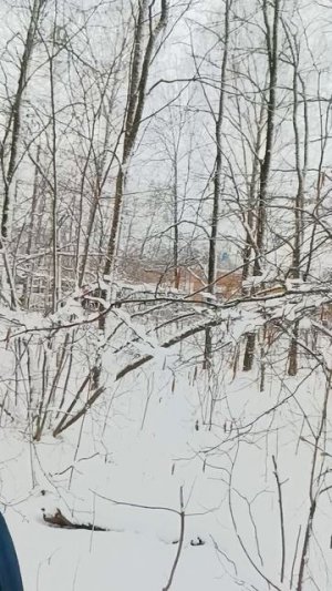 Сюрпризы погоды.снова зима пришла к нам 🥹