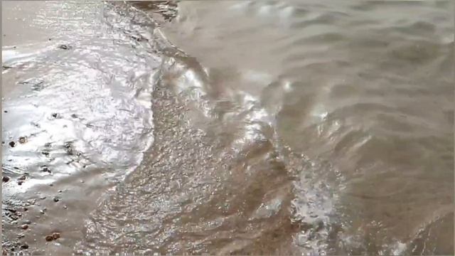 Шикарное море у отеля PICKALBATROS JUNGLE AQUA PARK. смотреть онлайн