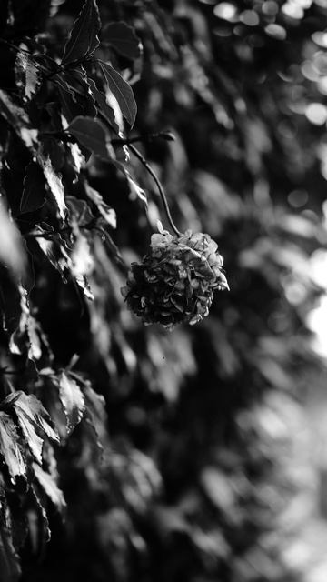 Let Your Nervous System Rest — relaxing music to stress relief | calm music смотреть онлайн