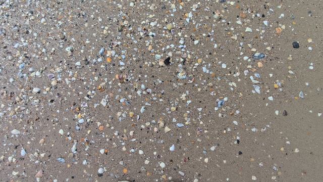 пляжи Анапы 07.04.2025. Кристалл Уют