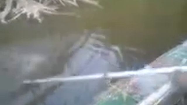 Правильная рыбалка)))))) смотреть онлайн