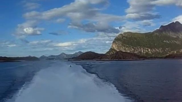 Norwegian Hot Summer смотреть онлайн