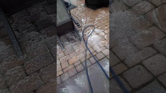 Patio Pavers and cement clean. Wet and Forget. simple way to remove moss and mold. смотреть онлайн