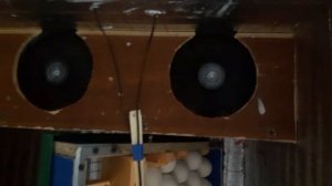 Самодельный инкубатор своими руками!!!