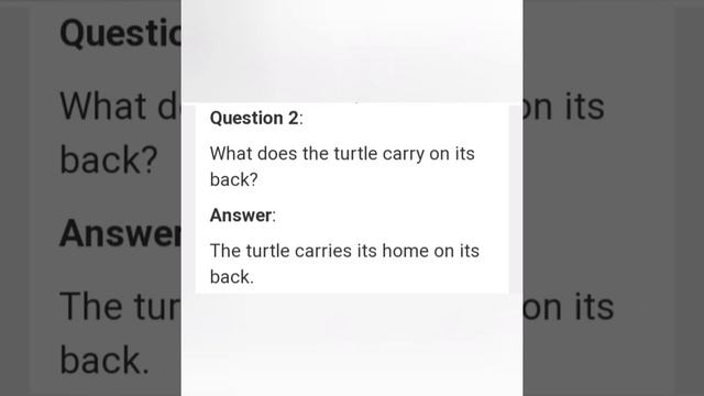 A little turtle poem and -Questions - answers class -1 ncert смотреть онлайн
