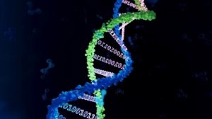 07-04-2025 Мощная всеисцеляющая матрица Гаряева.