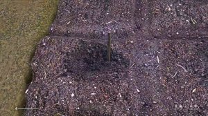 Как вырастить канабис в Dayz.