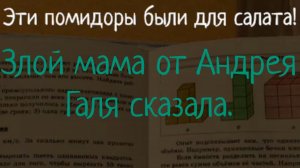 SchoolBoy Runaway, ЭТИ ПОМИДОРЫ БЫЛИ ДЛЯ САЛАТА! Злая мама от Андрея Галя сказала. РУИЕД.