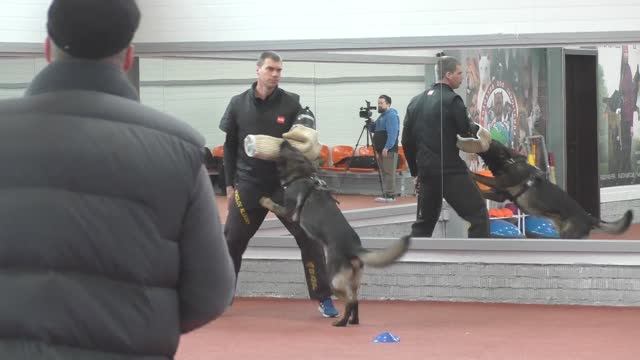 Защита Елизаров Сергей. Конкурс фигурантов 2025. Раздел НацВиды.