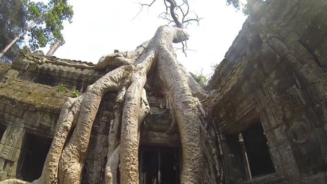 CAMBOYA ANGKOR WAT & THAILAND WITH CRIS смотреть онлайн