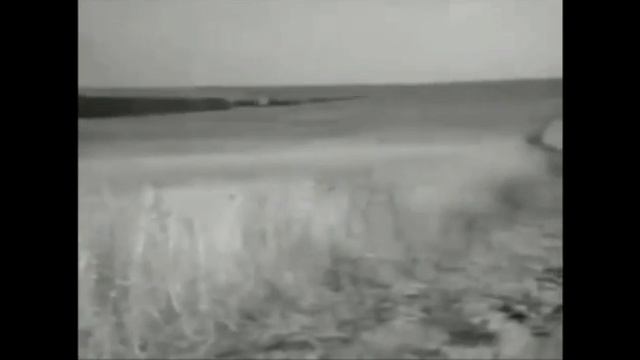 Помни их имена СВД смотреть онлайн