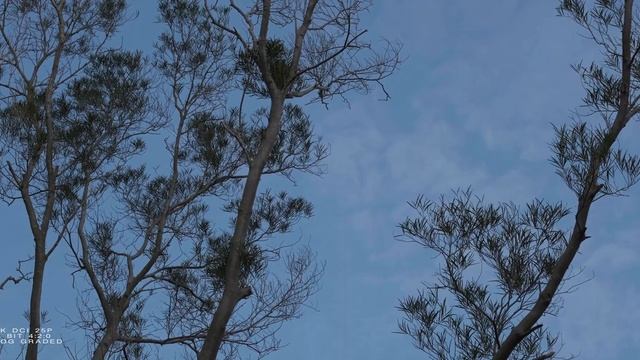 FUJIFILM XT-30 4K TEST L F-LOG L QUARRY HILL