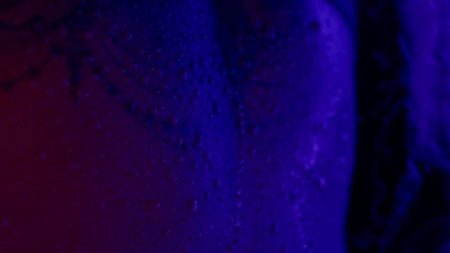 NOBULL | CrossFit, Dance, Parkour and more. смотреть онлайн