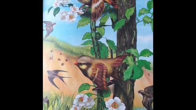 АСМР сказка расслабление, Красная горка💤 приятного прослушивания и засыпания... смотреть онлайн