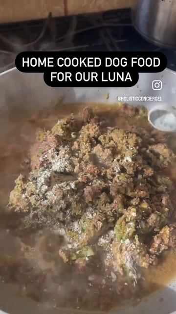 Homemade Dog Food that saved my dogs life! #bullterrier #doglover #bestfriends смотреть онлайн