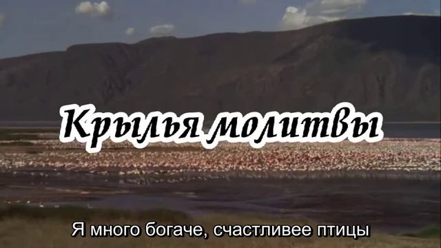 Ксения Лапицкая - Крылья молитвы смотреть онлайн