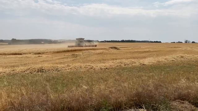 Harvest 2023 with huge Claas Lexion 8900 and big Claas Lexion 780 смотреть онлайн