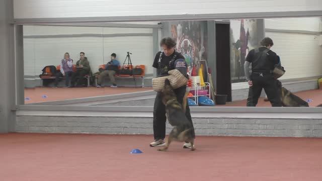 Защита Зорин Андрей. Конкурс фигурантов 2025. Раздел НацВиды.