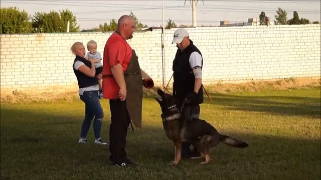 Фортуна смотреть онлайн