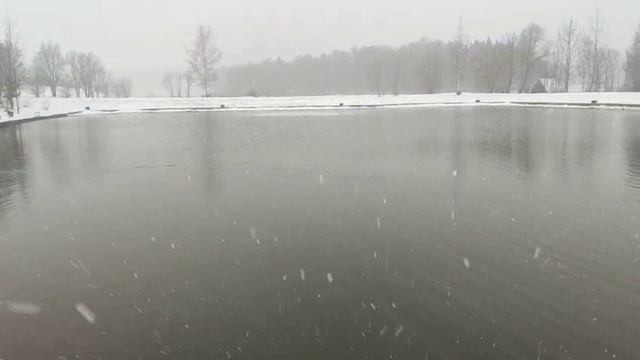 WhatsApp Video 2025-04-07 at 07.05.59 смотреть онлайн