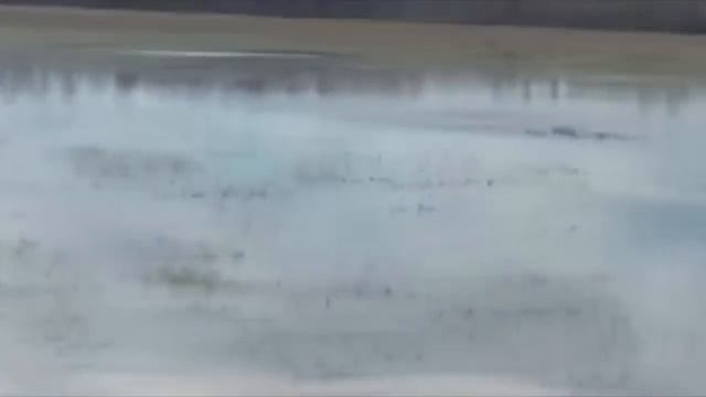 Дураки на дороге)) Смех Юмор Прикол смотреть онлайн