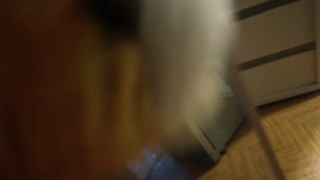 Худший день опять 2 часть кошка розбила Стекло?!? смотреть онлайн