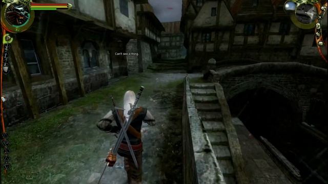 The Witcher (93) Shani or Triss? смотреть онлайн