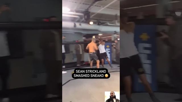 Sneako Insults Fighters, Sean Strickland Beats Breaks Off Him смотреть онлайн