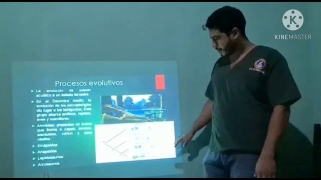 Bos taurus/Bos indicus смотреть онлайн