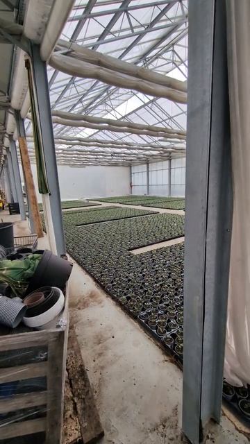 Теплица в Бельгии, на дверях написано Haus 4 😂 осторожно двери закрываются 😉 смотреть онлайн