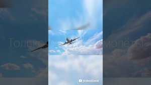 По книге « Твоё сердце будет разбито 💔 «