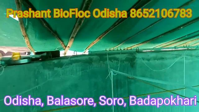 BioFloc cement tank construction and aeration system|BioFloc air stone fitting#biofloccementtank смотреть онлайн