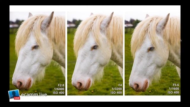 DSLR Photography Live Lesson - Aperture смотреть онлайн