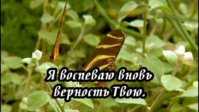 Ксения Лапицкая - В строфах возвышенных смотреть онлайн