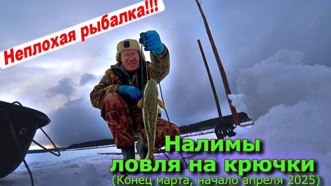 Налимы ловля на крючки смотреть онлайн