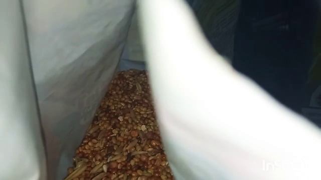 Но а если вы хотите посмотреть отдельное видео про Марго то пишите в комментарии будут читать ✨✨🐦🌨 смотреть онлайн